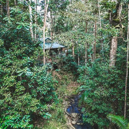Narrows Escape Rainforest Retreat Montville Buitenkant foto