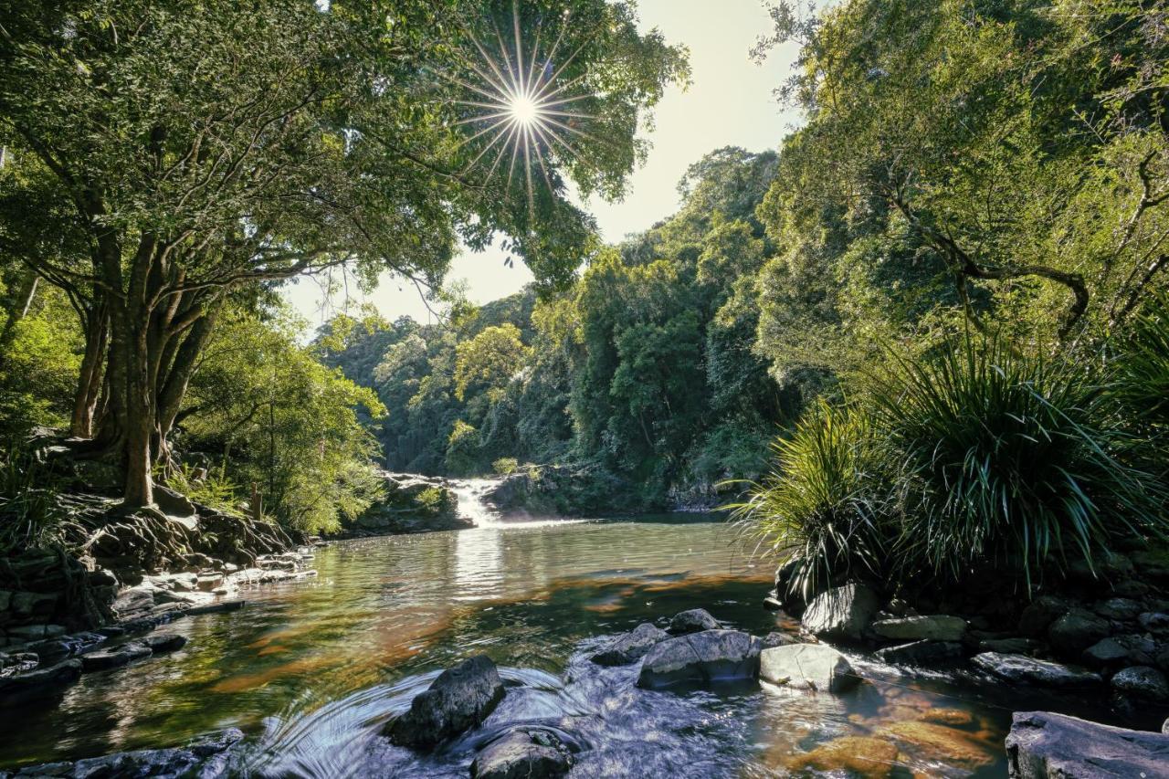 Narrows Escape Rainforest Retreat Montville Buitenkant foto
