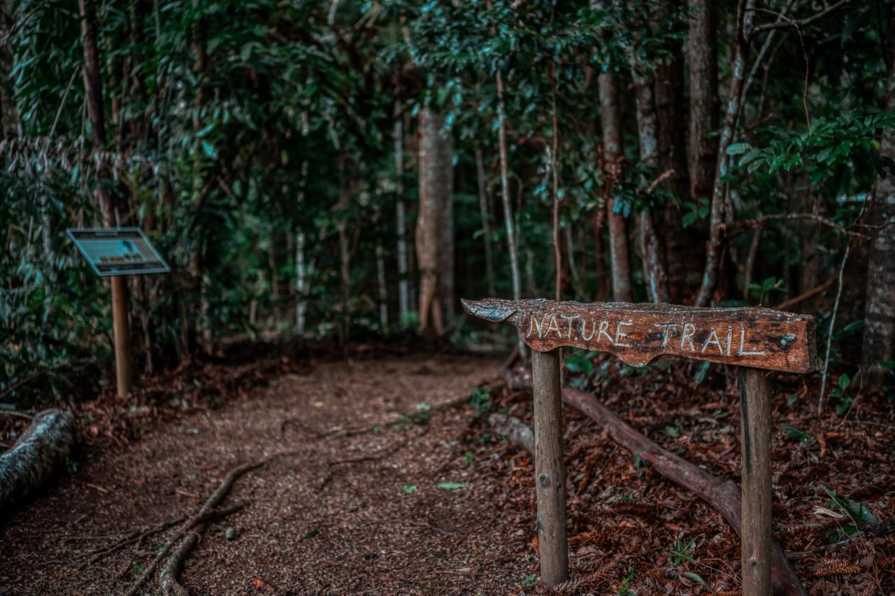 Narrows Escape Rainforest Retreat Montville Buitenkant foto