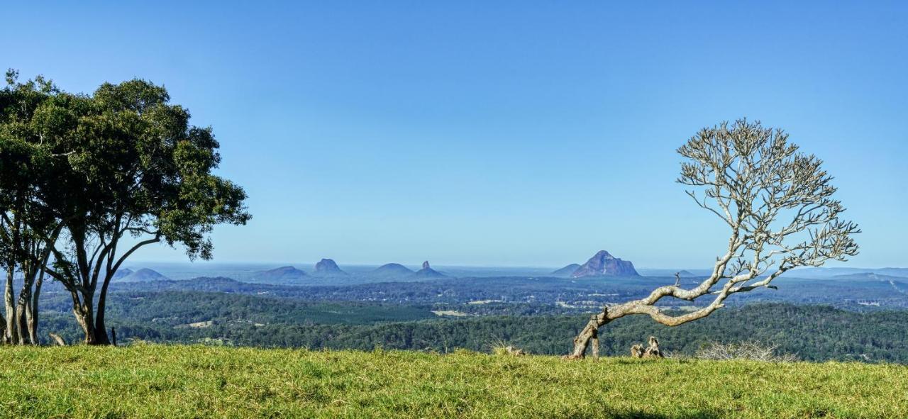 Narrows Escape Rainforest Retreat Montville Buitenkant foto