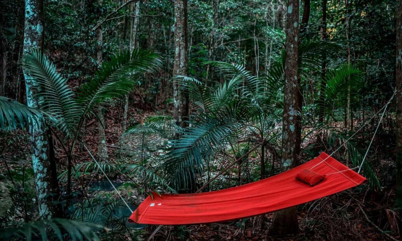 Narrows Escape Rainforest Retreat Montville Buitenkant foto