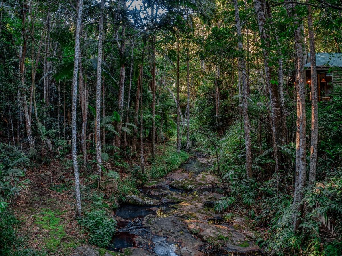 Narrows Escape Rainforest Retreat Montville Buitenkant foto