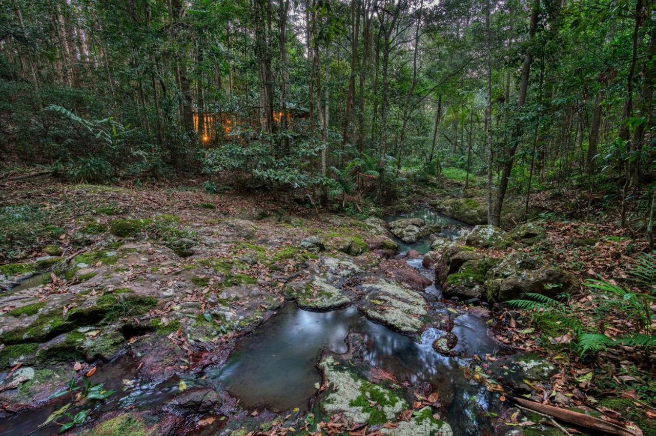 Narrows Escape Rainforest Retreat Montville Buitenkant foto