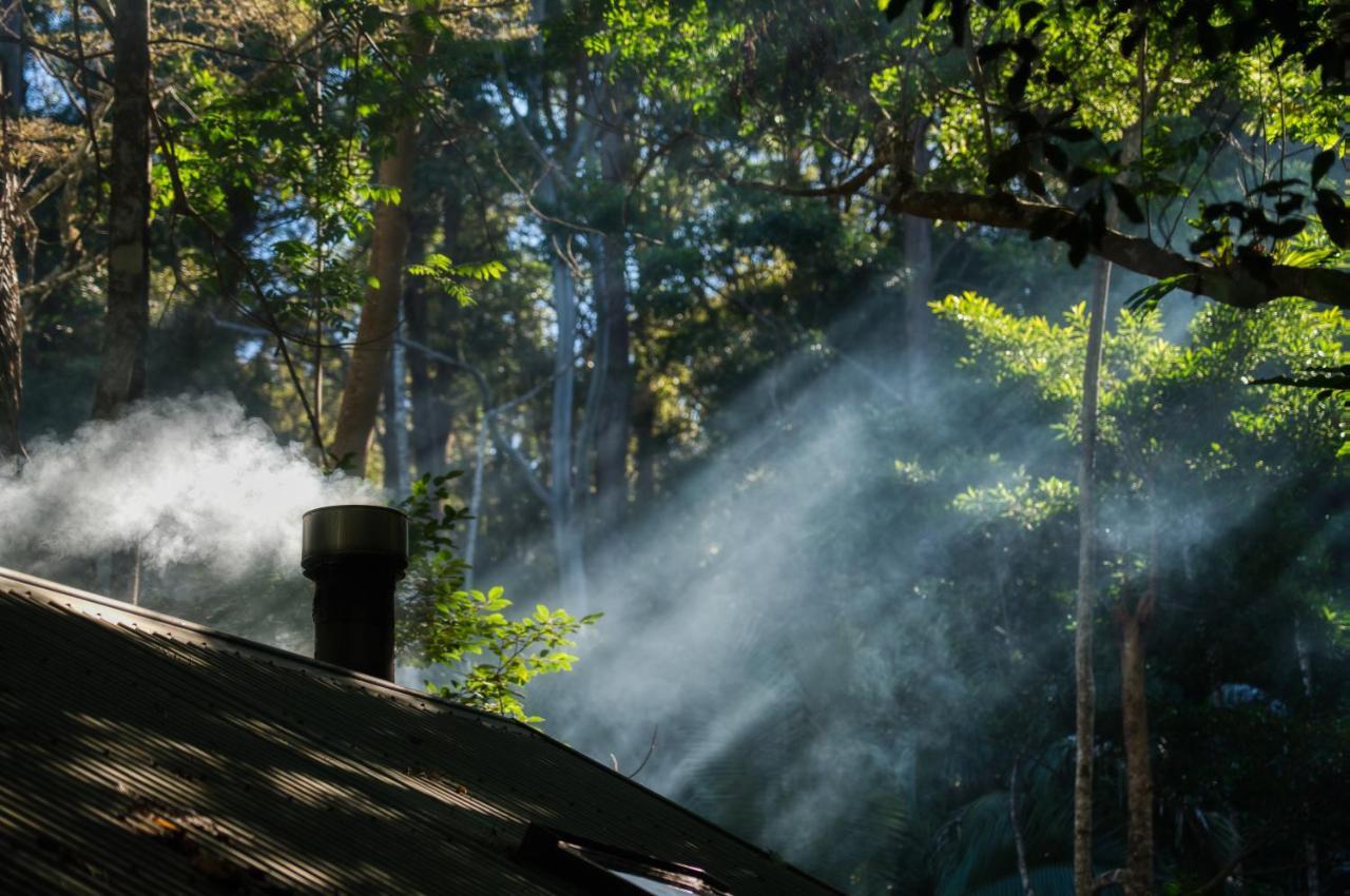 Narrows Escape Rainforest Retreat Montville Buitenkant foto