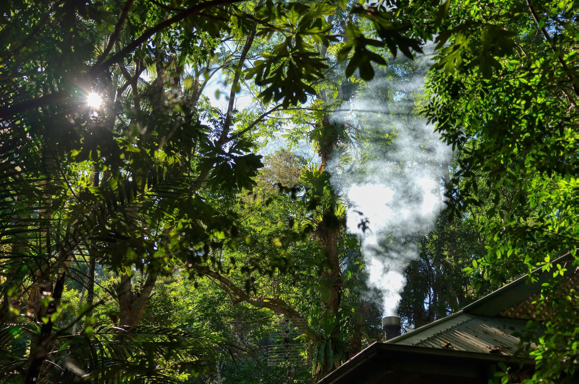 Narrows Escape Rainforest Retreat Montville Buitenkant foto
