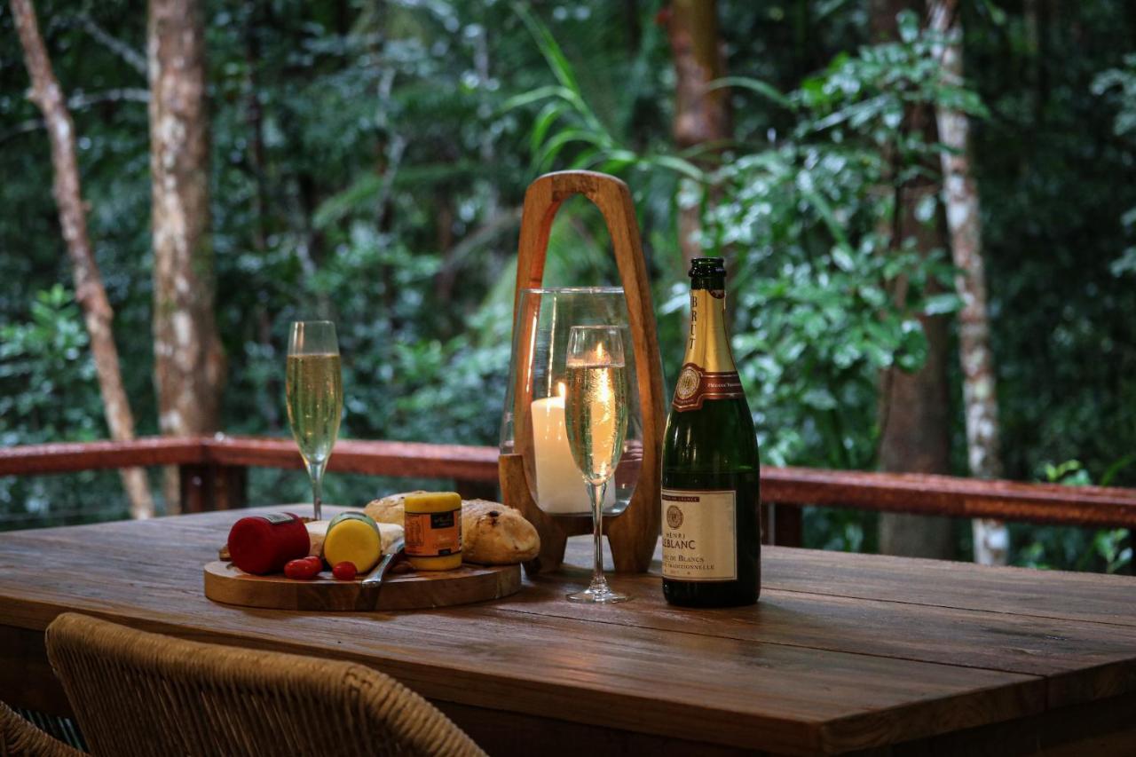 Narrows Escape Rainforest Retreat Montville Buitenkant foto