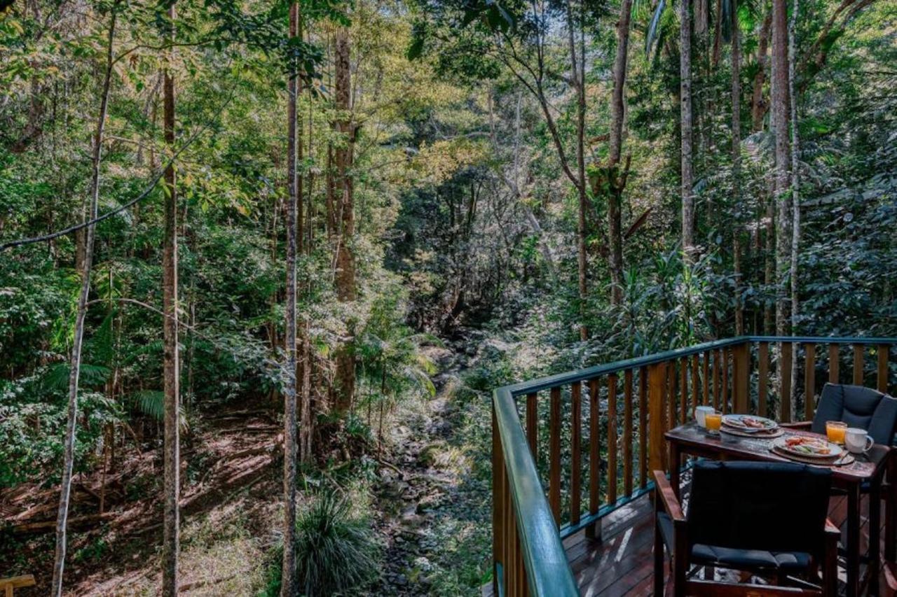 Narrows Escape Rainforest Retreat Montville Buitenkant foto