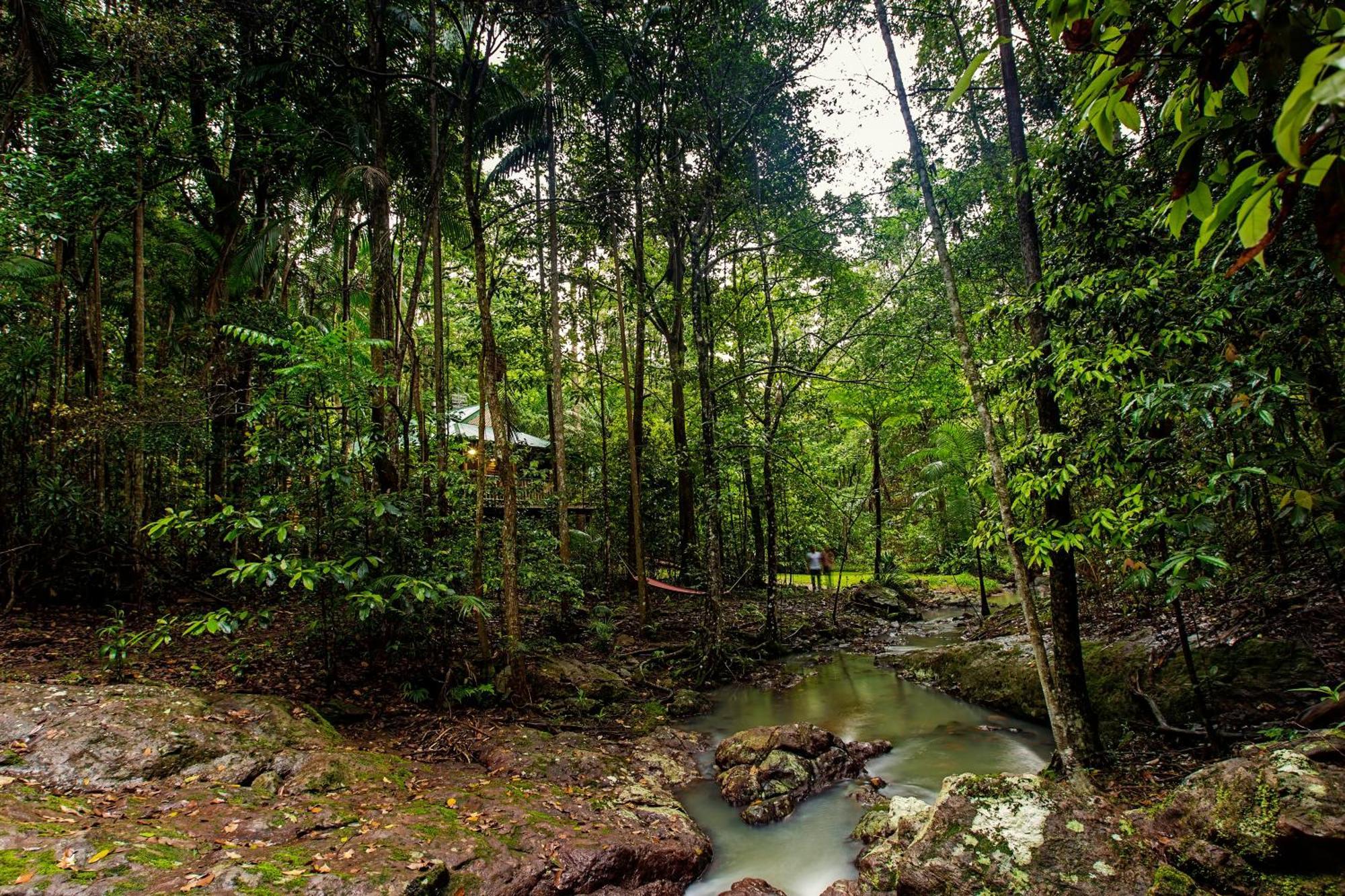 Narrows Escape Rainforest Retreat Montville Buitenkant foto