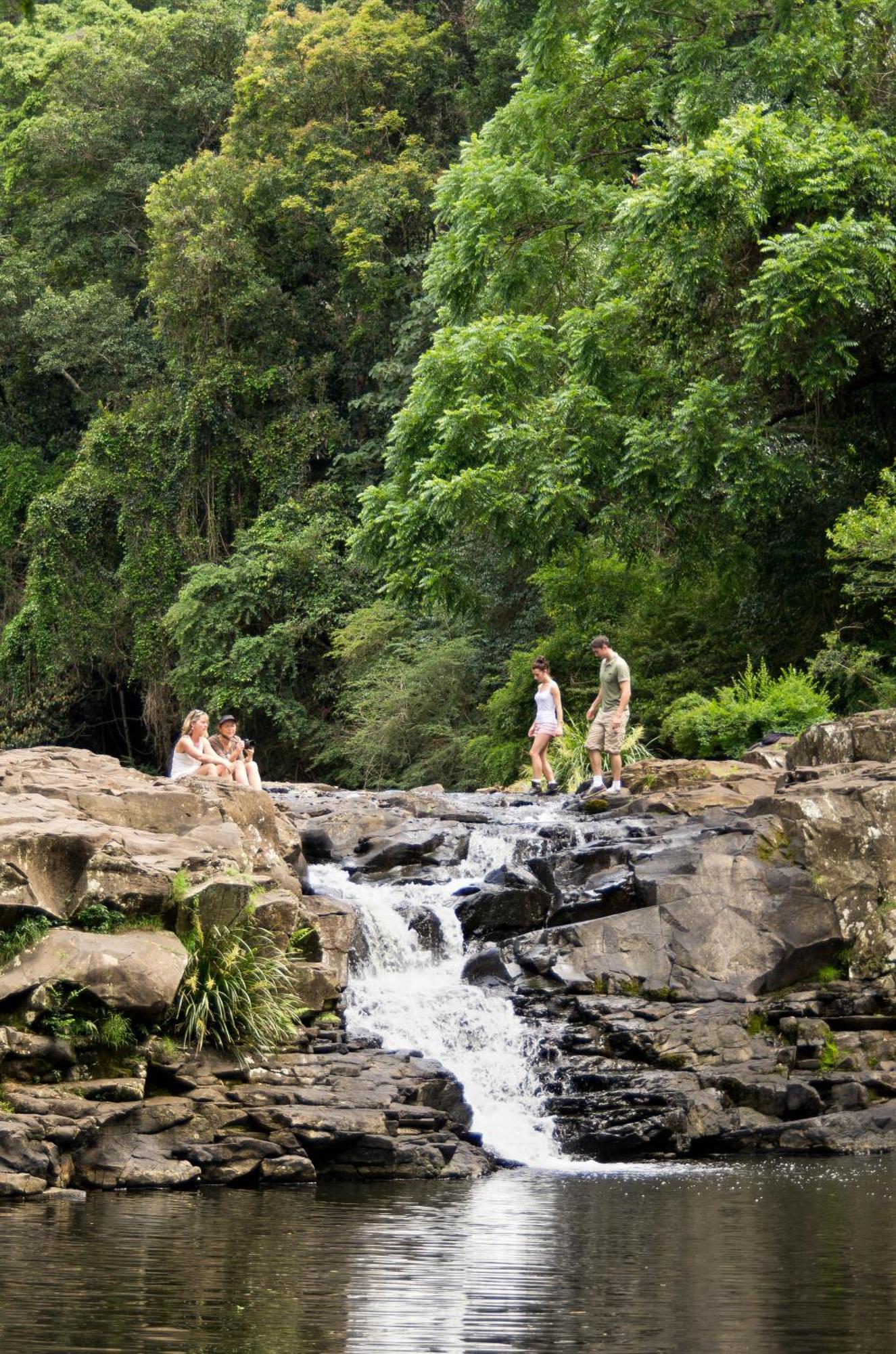 Narrows Escape Rainforest Retreat Montville Buitenkant foto