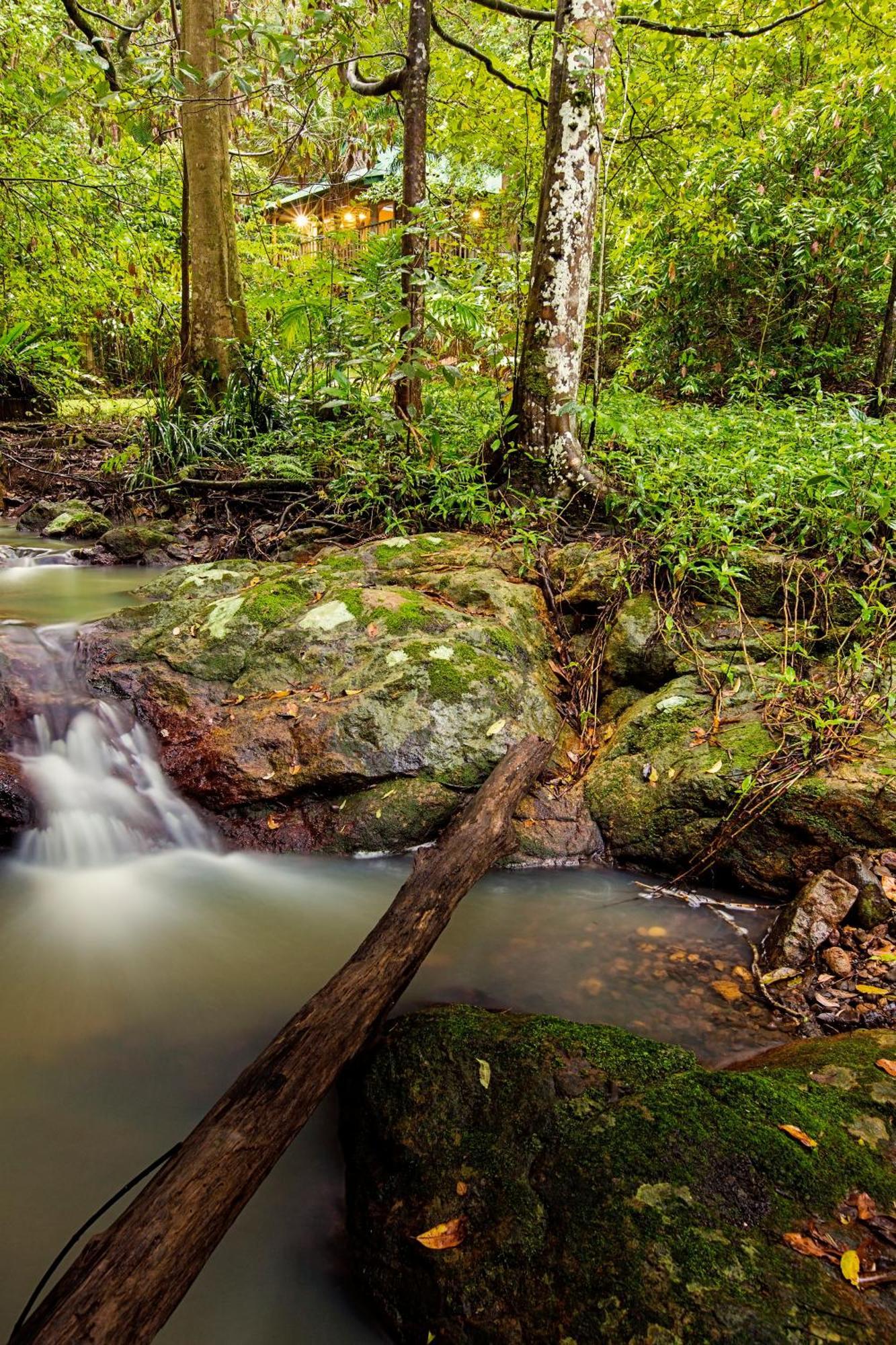 Narrows Escape Rainforest Retreat Montville Buitenkant foto