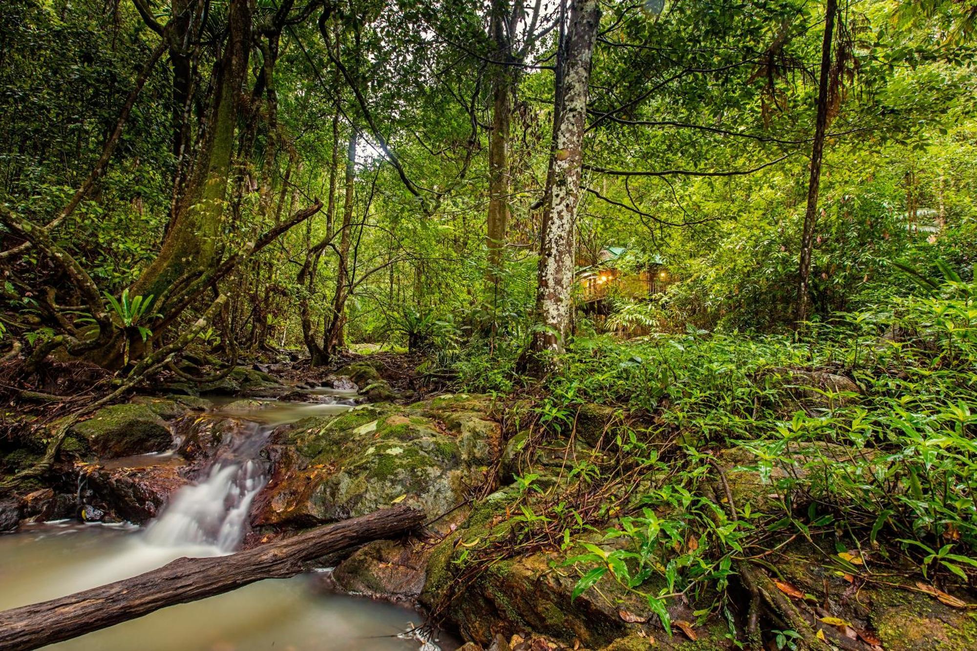 Narrows Escape Rainforest Retreat Montville Buitenkant foto