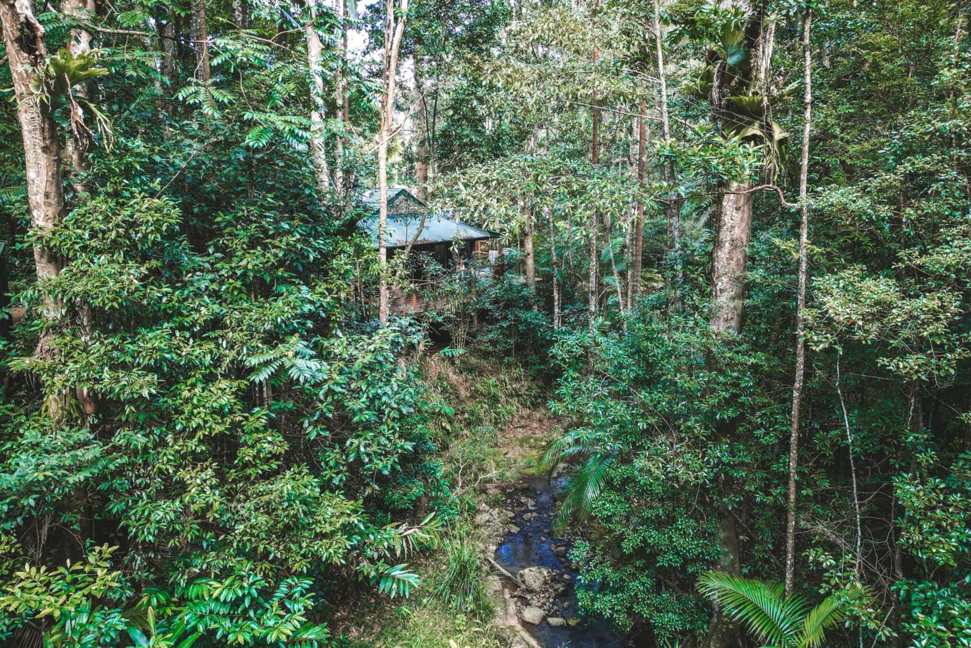 Narrows Escape Rainforest Retreat Montville Buitenkant foto
