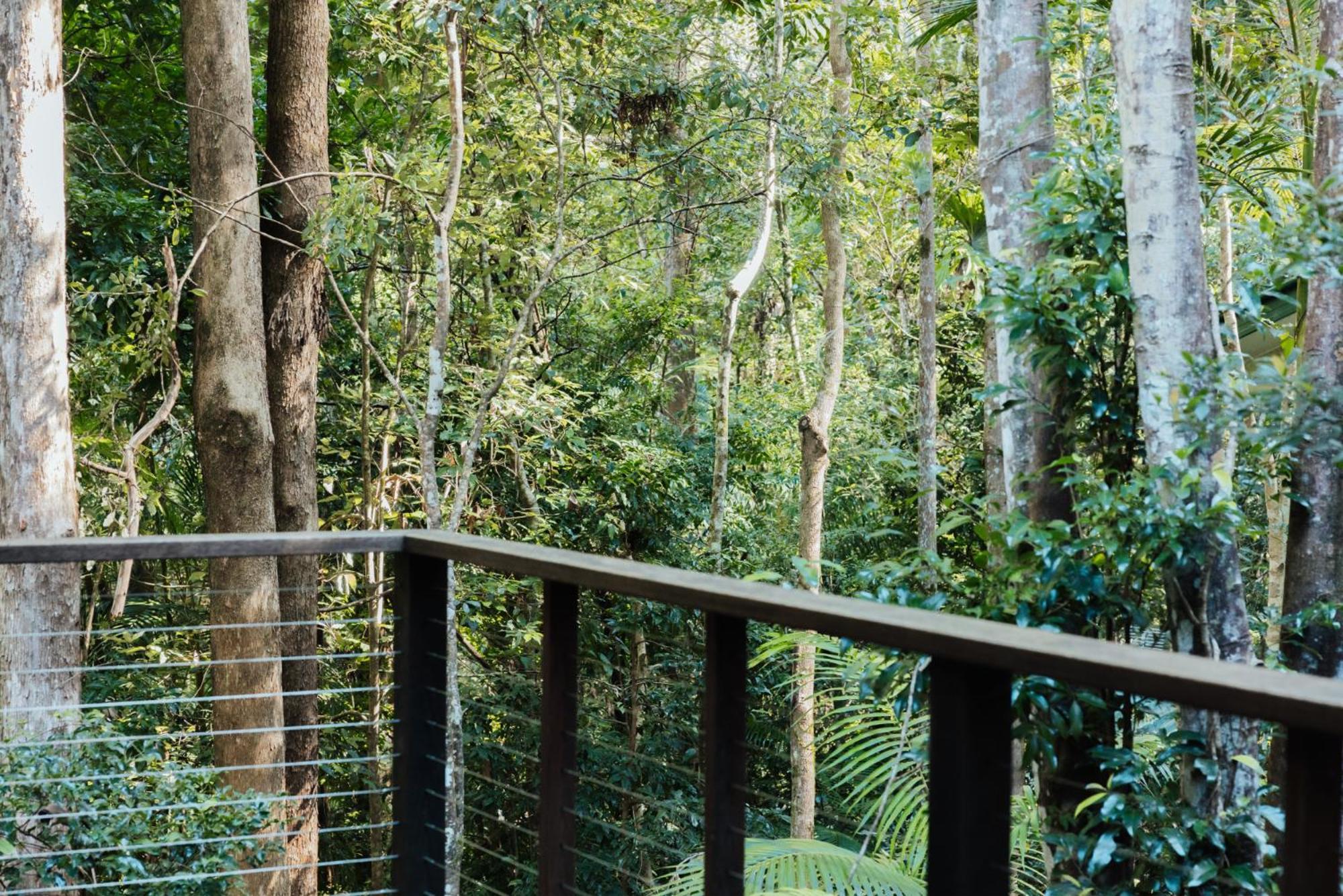 Narrows Escape Rainforest Retreat Montville Buitenkant foto