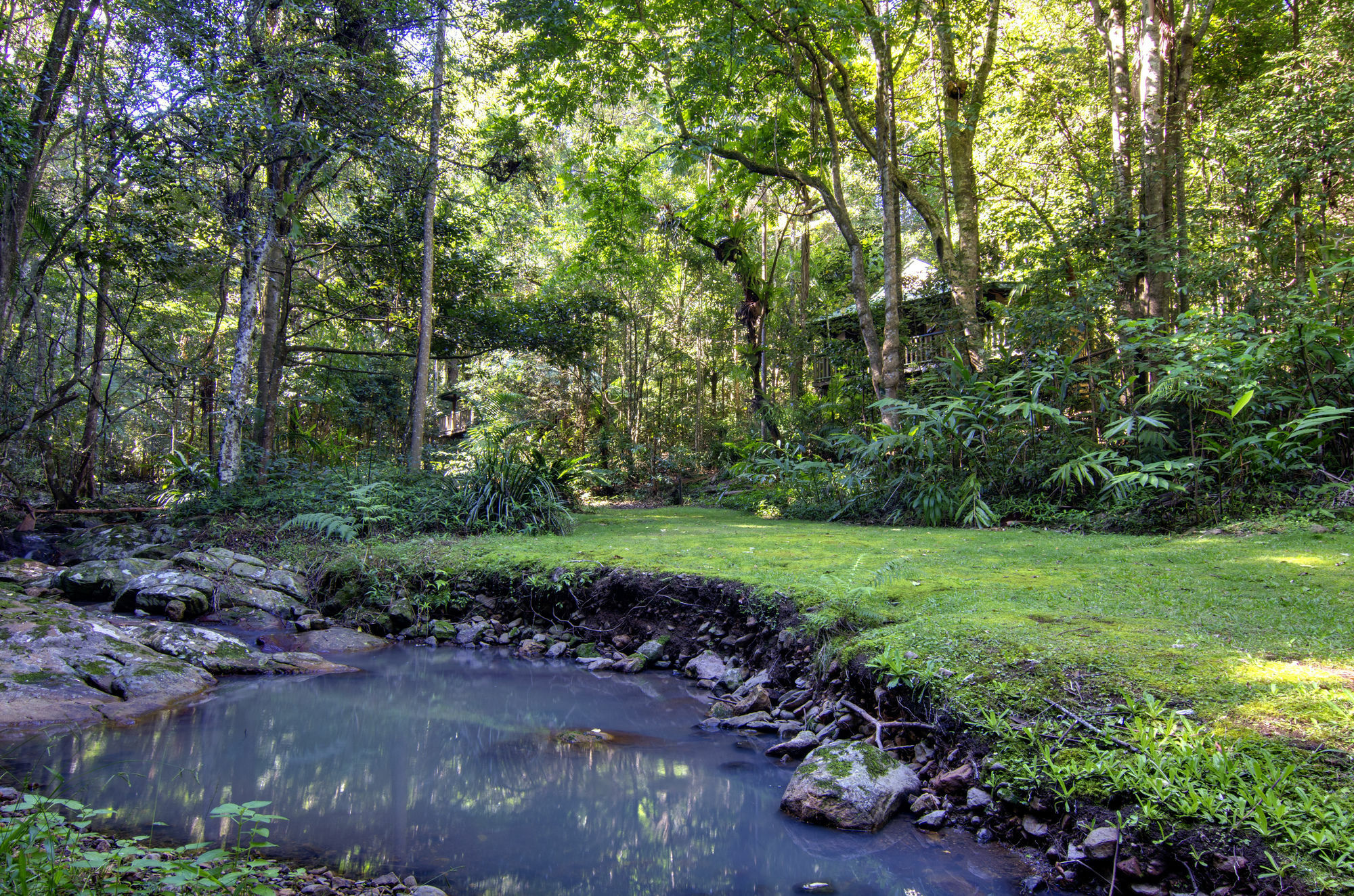 Narrows Escape Rainforest Retreat Montville Buitenkant foto